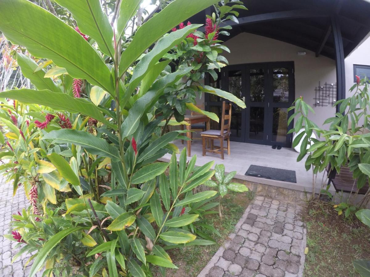 L'Oasi Guest House Baie Lazare  ภายนอก รูปภาพ